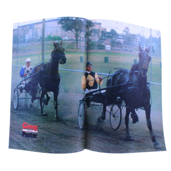 Conny Comic Nr. 96 1982 Bastei kaufen | Pferde Mädchen Comic | hoppla-stuff.de